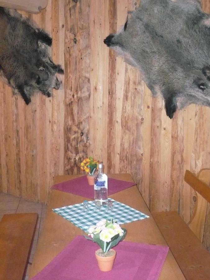 Pokoje gościnne w górach Kościelisko Zewnętrze zdjęcie